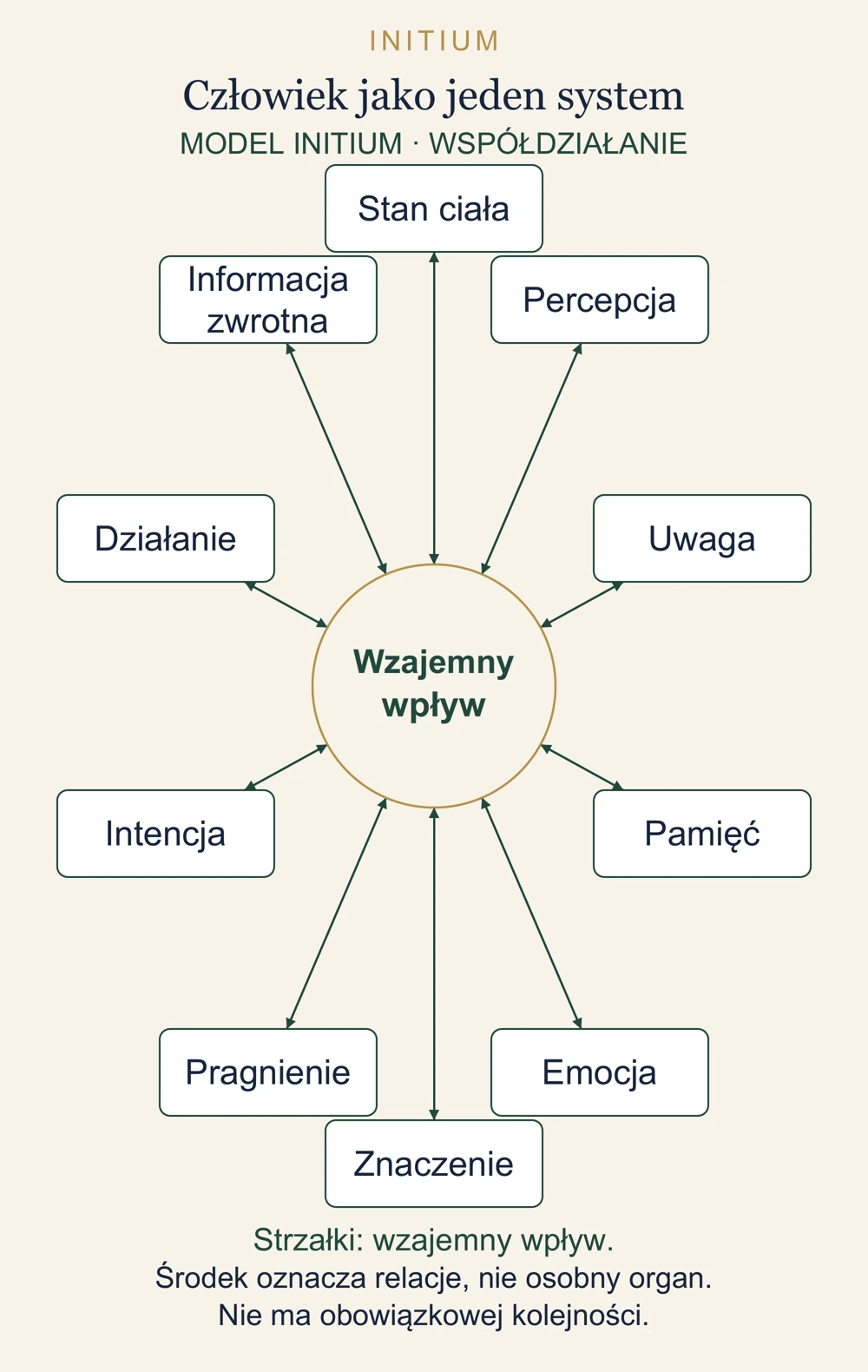 Schemat: Człowiek jako jeden system